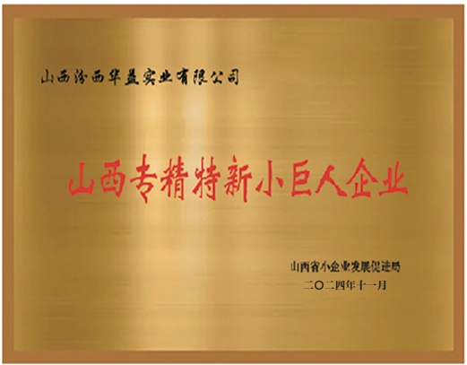 山西專(zhuān)精特新小巨人企業(yè)